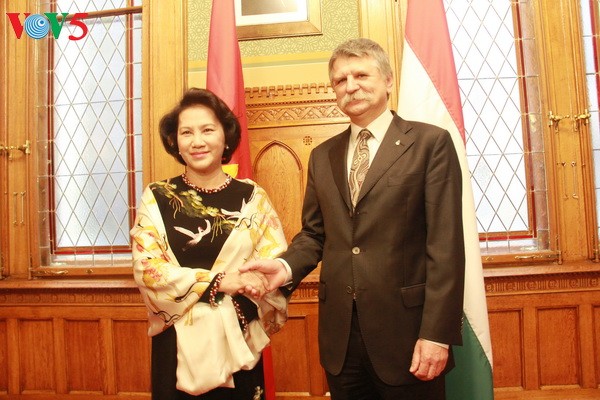 Vietnam aims to elevate relations with Czech and Hungary - ảnh 1